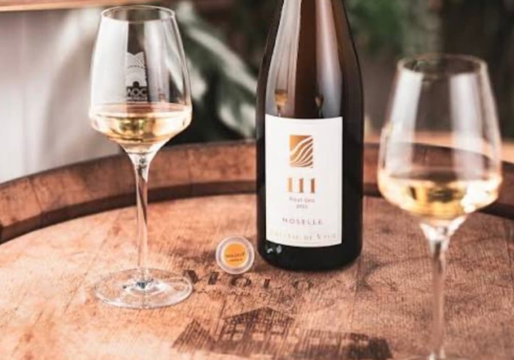 château de Vaux dégustation vin Moselle