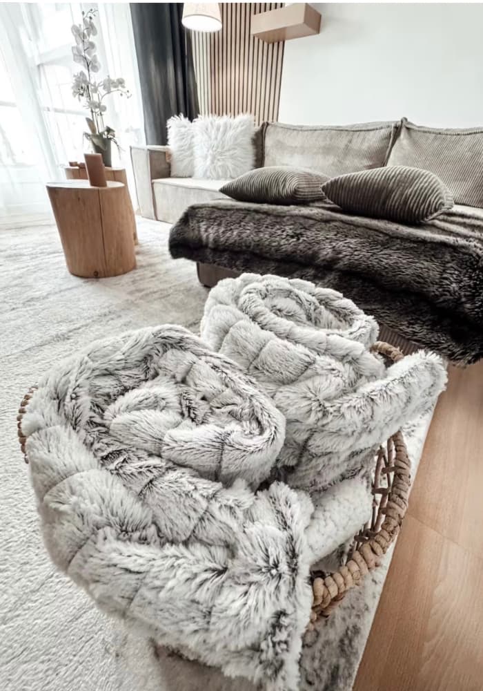 Salon raffiné de l’appartement Le Cocon Blanc Metz avec plaids et décor cosy